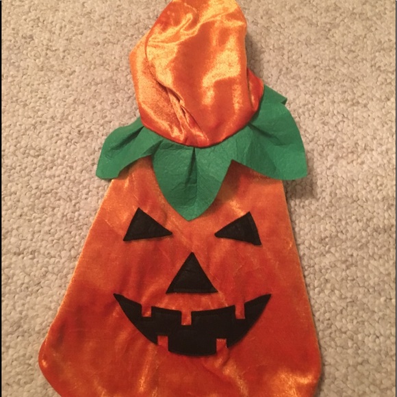Accessories - Dogs Halloween costume size medium